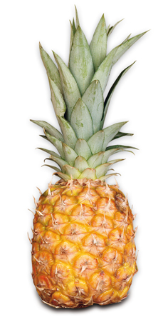 Ananas Extra Sweet 1600+ čerstvý 1 ks